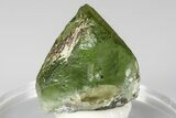 Olivine Peridot Crystal with Ludwigite Inclusions - Pakistan #185272-1